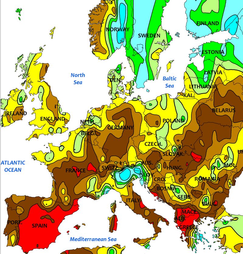 precipitations février 2019